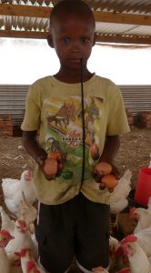 inmed-overcoming-the-burden-of-hunger-big-boy-with-eggs