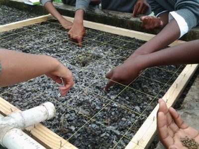 CDW-Planting-Lesson-(2)