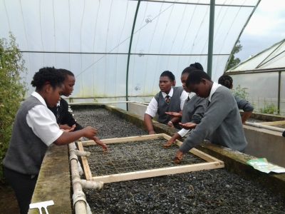 CDW-Planting-Lesson-(4)