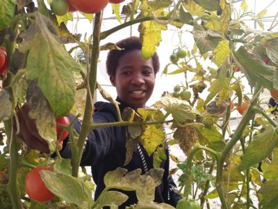 Eastern-CapeSeyisi-Primary-School-Harvest