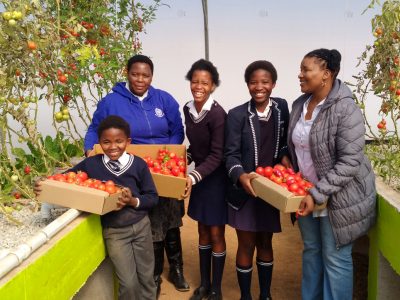 IMG_20170811Eastern-CapeSeyisi-Primary-School-Harvest