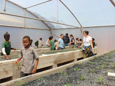 Learning-to-plant-in-aquaponics