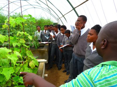 Lesson-with-crops-Kempton-ParkPics-For-LKP-LaunchCarel-De-Wet-System