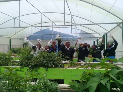 Students-showing-off-harvest017-11-28-at-12.16.27-(1)-Kempton-Park