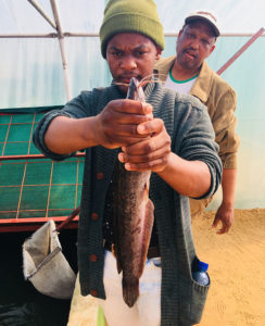 USAID Menzi with Catfish-cropped